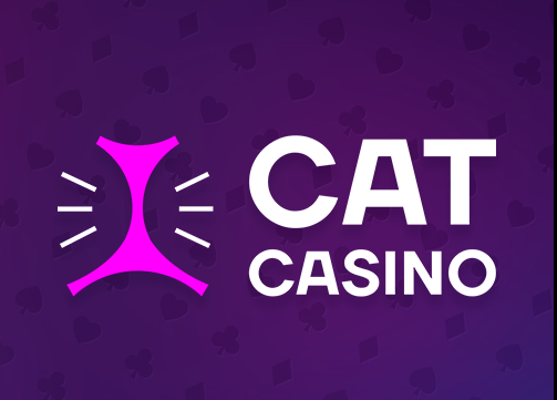 Cat casino официальный сайт