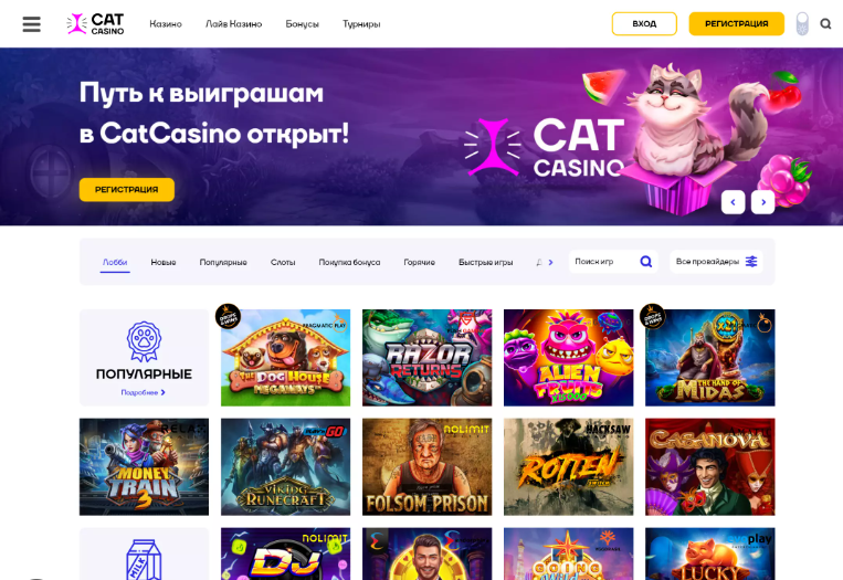 Вход и логин Кэт Казино