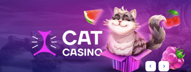 Бездепозитный бонус в Cat Casino, бонус за регистрацию
